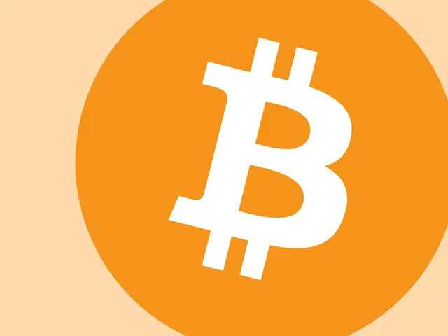 Bitcoin professional training for investors